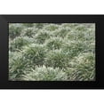 thumbnail image 2 of Stramel, Renee W. 24x17 Black Modern Framed Museum Art Print Titled - Natures Textures III, 2 of 5