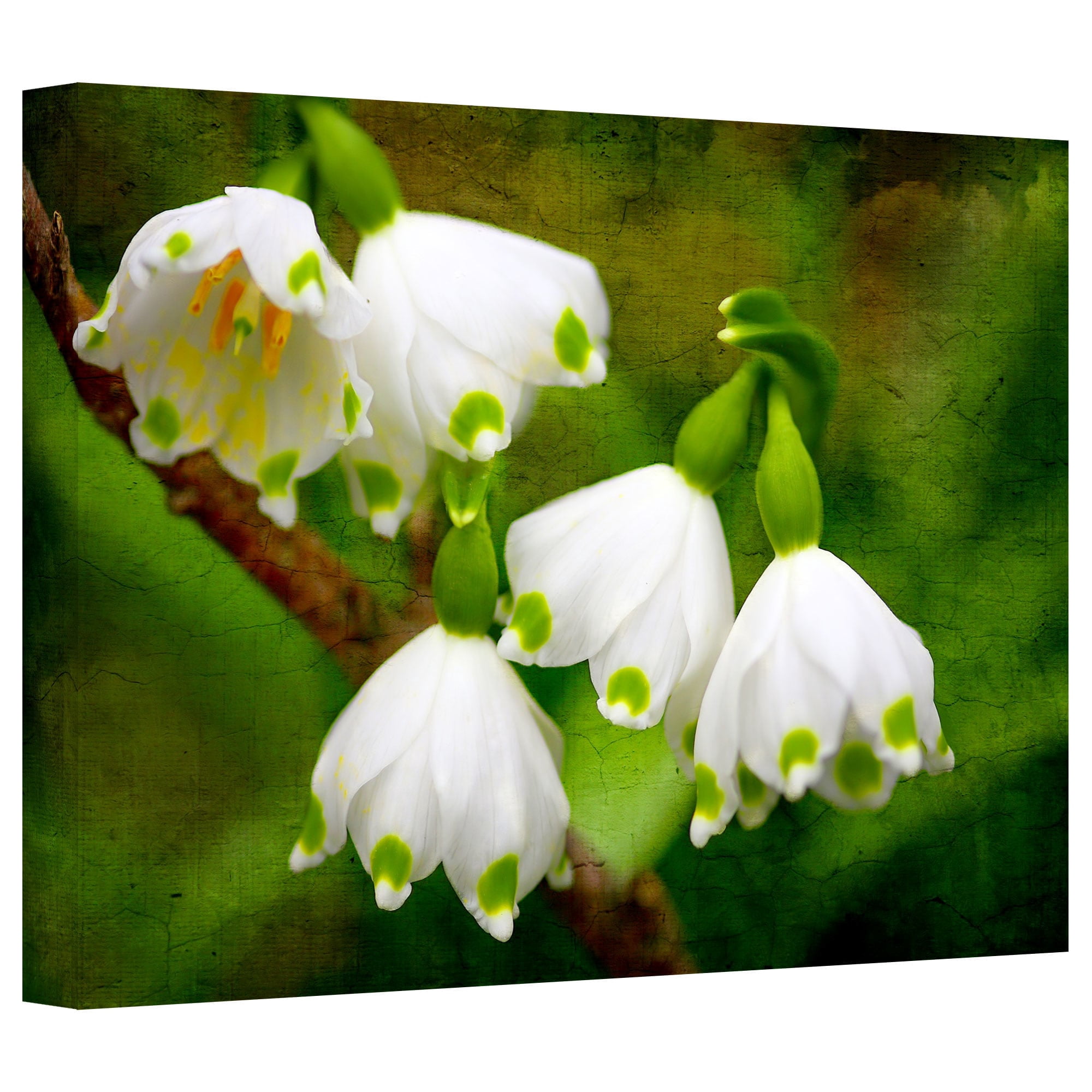 ArtWall Dragos Dumitrascu "Spring Reunion" Gallery-wrapped Canvas Art