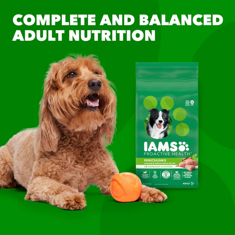 Iams proactive health minichunks review top
