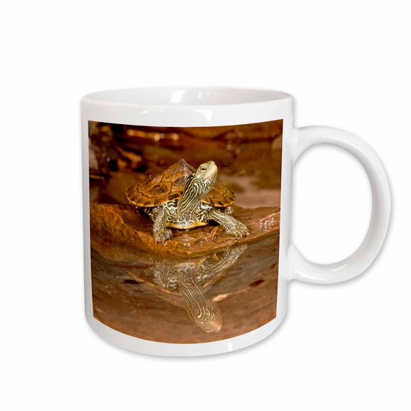 3drose, Map Turtle, Native to Northeastern Us - Na02 Dno0806 - David Northcott, 15oz Mug