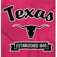thumbnail image 2 of Texas Cute Cursive TX Souvenir Plus Size Crewneck Graphic Tee Shirt Brisco Brands 2X, 2 of 5