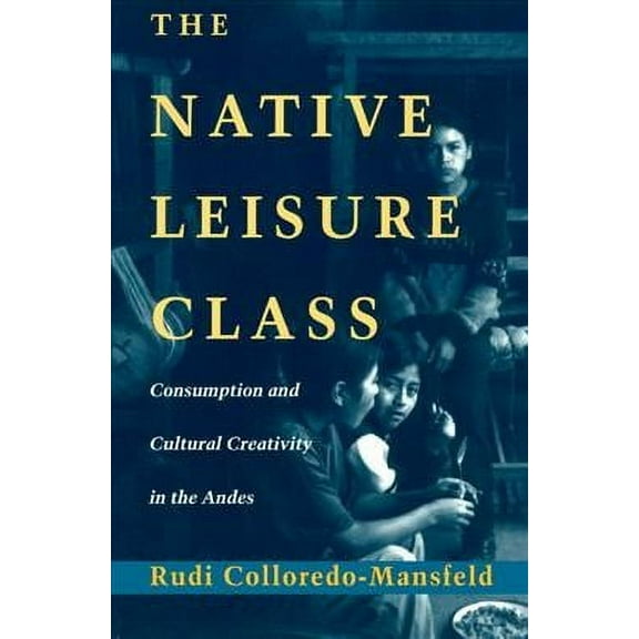 The Native Leisure Class : Consumption and Cultural Creativity in the Andes (Paperback)