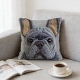 thumbnail image 3 of ddioayh Throw Pillow Cover Animal Print Soft Machine Washable 45x45cm for Sofa Chair Bedroom Home Decor Spring Easter Pet Theme Decorative Gift Idea, 3 of 6