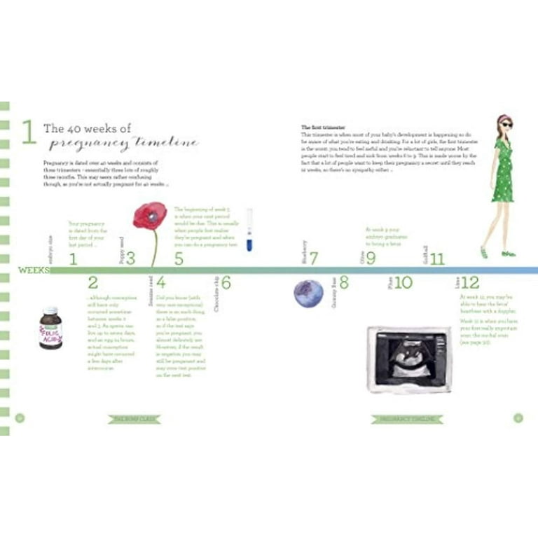 The Bump Class : An Expert Guide to Pregnancy, Birth and