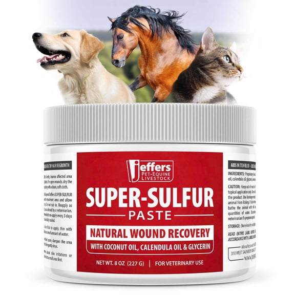 Jeffers Natural Skin Wound Care for Horses, Dogs, Cats, Livestock - 8 oz