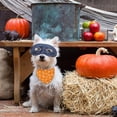 thumbnail image 4 of Fall Halloween Dog Bandanas Reversible 2 Pack Small Orange Black Spider Web Ghost Witch Hat Cute Halloween Pet Bandanas for Dogs Adjustable Triangle Holiday Scarves for Small Medium Boy Girl Dogs, 4 of 6