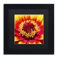 thumbnail image 2 of Trademark Fine Art "Floral Mass Coronal Ejection" Canvas Art by Kurt Shaffer, Black Matte, Black Frame, 2 of 5