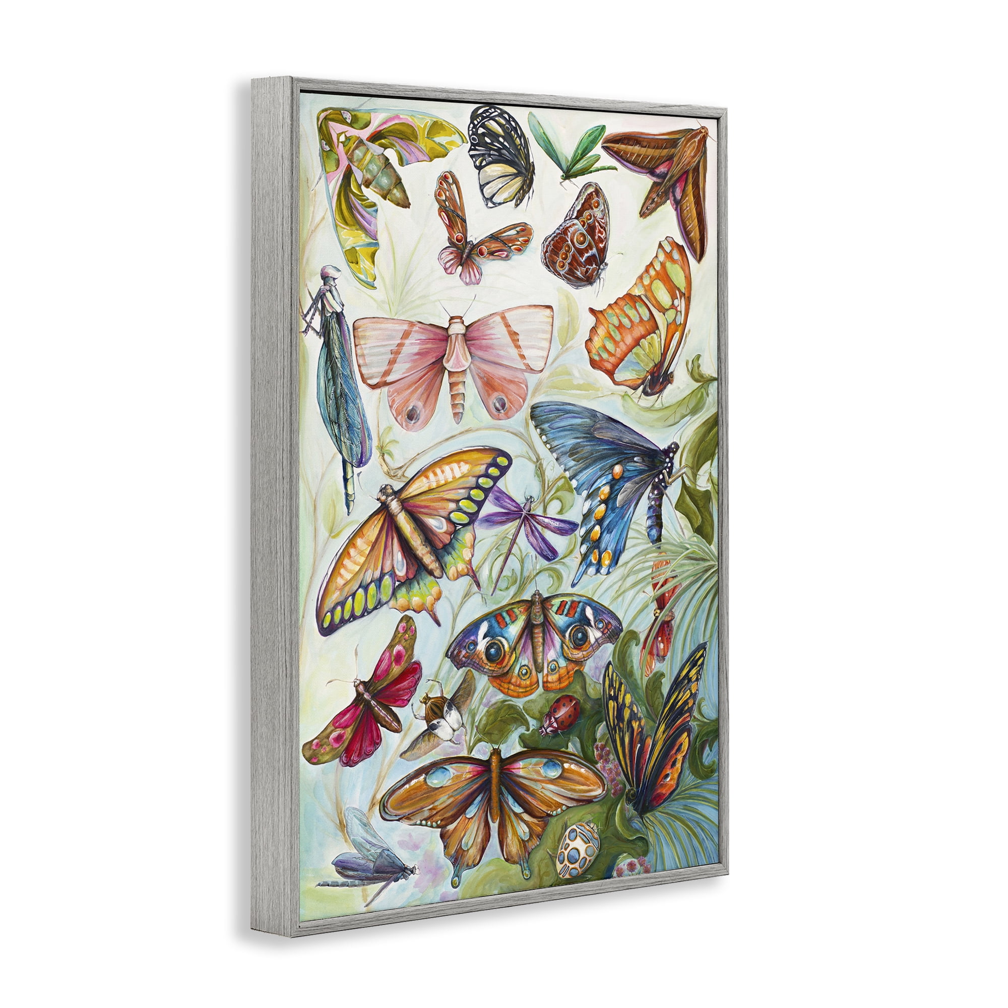 Stupell Industries Colorful Butterfly Conservatory Gray Framed Giclee Art, design by Diannart