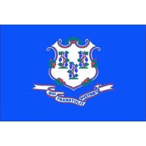 NYLGLO 140760 Connecticut State Flag,3x5 Ft