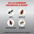 thumbnail image 4 of Ortho Home Defense Max Ant, Roach & Spider1 14 oz., 4 of 12