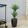 thumbnail image 2 of DecMode 31" Artificial Dracaena Plant in Realistic Leaves and Black Fiberglass Pot, 2 of 8