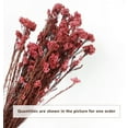 thumbnail image 2 of NOGIS 17.7 Inches Natural Preserved Millet Flowers Helichrysum Dried Bouquet Rice Flower for Home and Wedding Decoration (Red), 2 of 5