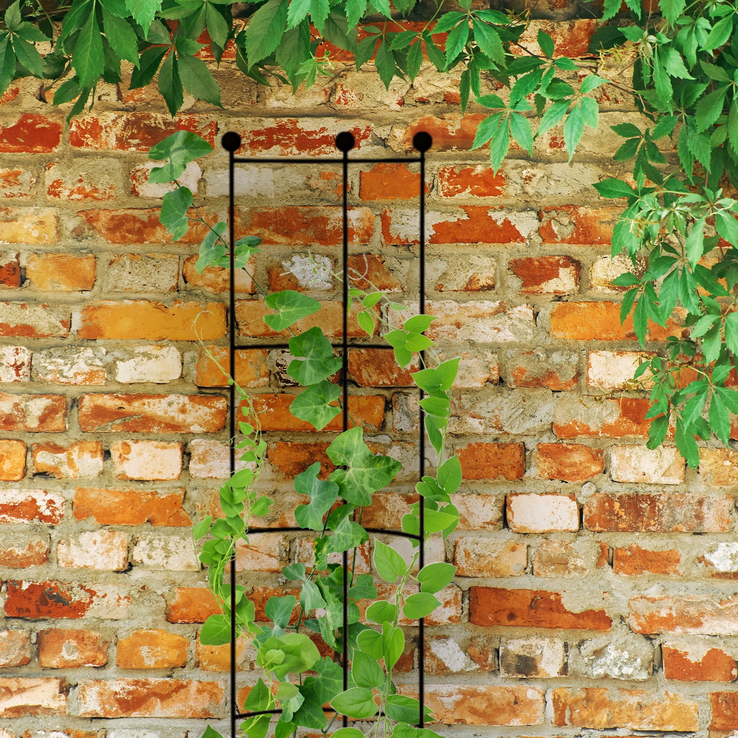 Expert Gardener 33in Half Round Ladder Trellis Support