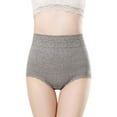 thumbnail image 5 of Women's High Waist Subtle Beauty Lace Brief Panty, 5 of 5