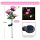 thumbnail image 2 of Luces solares de jardín CM-TOP Decoración al aire libre LED Impermeables rosa, 2 of 2