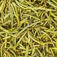 thumbnail image 4 of (2 pack) Great Value Organic Rosemary Leaves, 0.85 oz, 4 of 9