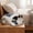 BUL, variant on Semi Enclosed Dog Bed, Winter Warm Sleeping Bag Cave, Machine Washable Indoor Nest, Soft Polyester Burrowing Bed for Cats and Small Medium Dogs
