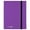 Royal Purple, variant on 9 Pocket Eclipse Royal Purple Pro-Binder