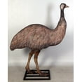 thumbnail image 5 of Emu Life Size Statue, 5 of 8