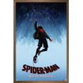 thumbnail image 1 of Marvel Spider-Man - Dans le Spider-Verse - Chute, 1 of 4