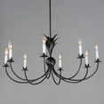 thumbnail image 5 of 2888AR Maxim Lighting Paloma - 8 Light Chandelier-17.5 Inches Tall and 36 Inches Wide-Anthracite Finish    -Traditional Installation, 5 of 5