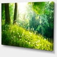 thumbnail image 2 of Beautiful Green Grass and Trees - Large Landscape Canvas Art Print, 2 of 4