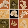 thumbnail image 3 of Koetsier, Albert 20x20 Black Modern Framed Museum Art Print Titled - Harvest 9 patch 2, 3 of 5