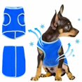 thumbnail image 3 of Chaleco de refrigeración para perros, ropa transpirable, abrigo de refrigeración para mascotas, chaqueta enfriadora para cachorros, ropa fresca para perros pequeños, medianos y grandes, Verano, 3 of 3