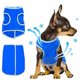 thumbnail image 3 of Chaleco de refrigeración para perros, ropa transpirable, abrigo de refrigeración para mascotas, chaqueta enfriadora para cachorros, ropa fresca para perros pequeños, medianos y grandes, Verano, 3 of 3