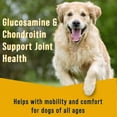 thumbnail image 4 of Miracle Corp Stewart Dog Healthy Hips Beef and Sweet Potato Freeze Dried Treats 4 Ounce Bag, 4 of 7