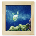 thumbnail image 1 of Cadre Photo Carré Nature Science Méduse Océan pour Mur Ou Table, 1 of 3