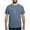 Blue Jean, variant on CafePress - Phi Sigma Pi Shield Color Wordmark T Shirt - Mens Comfort Colors Shirt