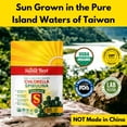 thumbnail image 6 of Sunlit Super 50/50 Organic Chlorella Spirulina Tablets - Super Supplement for Immune Support, Gut Health, Mood & Energy - Rich in Chlorophyll, Amino Acids & Vegan Protein, 500 Superfood Tabs, 6 of 7