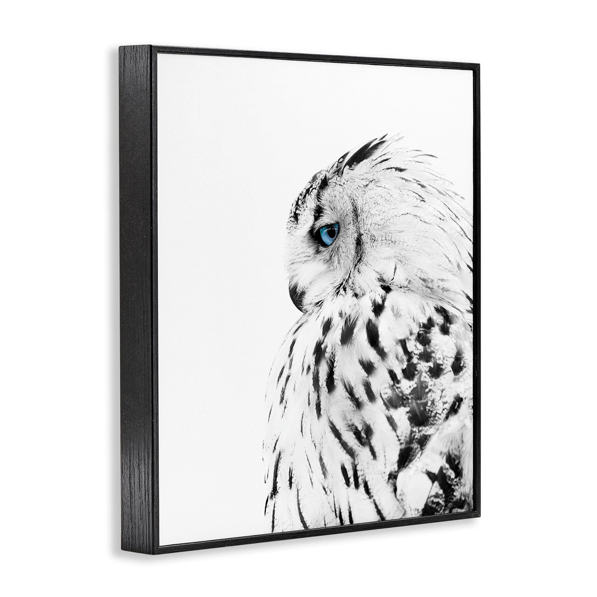 Stupell Industries Snow Owl White Feathers Peering Blue Eyes,11 x 14,Designed by Design Fabrikken