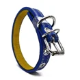 thumbnail image 1 of Collar Piel 44 Cm Colores Perro Y Gato Uso Rudo | Talla #4, 1 of 4