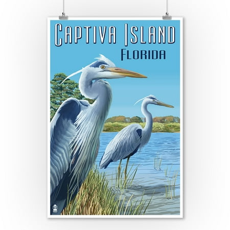 Captiva Island, Florida - Blue Herons in grass  - Lantern Press Poster (9x12 Art Print, Wall Decor Travel