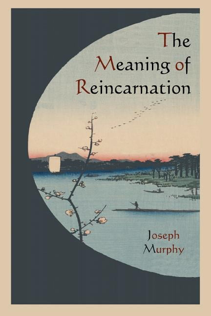 The Meaning Of Reincarnation Paperback Walmart