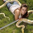 thumbnail image 3 of 1 Set Of Stainless Steel Reptiles Snake Sexing Probes Professional Gender Detector With Round Ball, 3 of 7