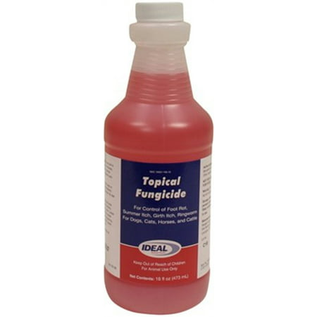 Neogen 79209 Foot Rot Topical Fungicide Treatment, 16-oz. - Quantity