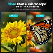 BEBANG 4.3 Coin Microscope, 1080p, 8 LED Lights, Digital Microscope for Adults Kids, Windows MacOS Compatible, 32GB