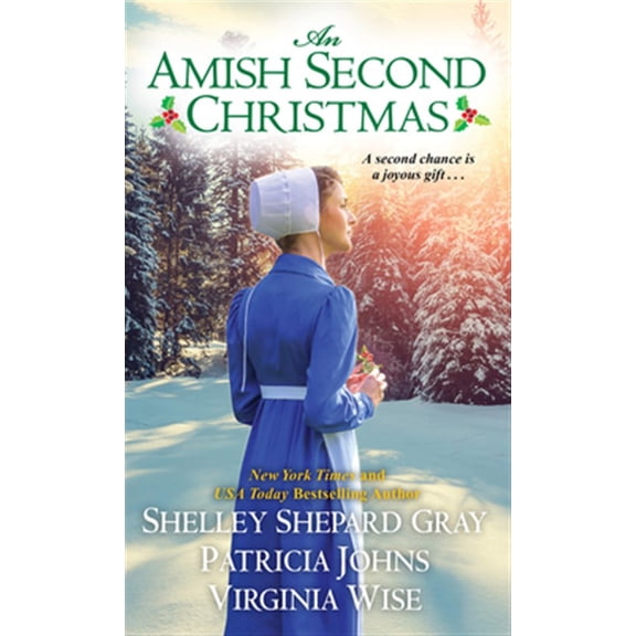 Pre-Owned An Amish Second Christmas (Mass Market Paperback) 142014734X 9781420147346