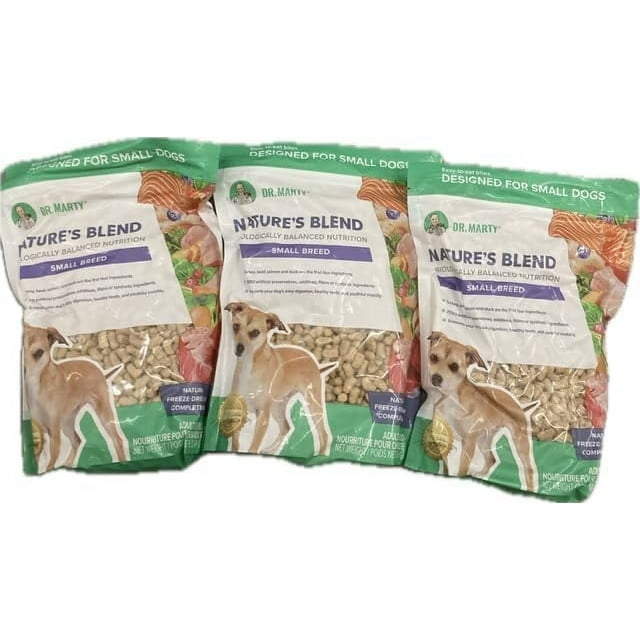 succulent live plants 2 Succulent Variety Pack / 4" Pot / Live Home and Garden Plant  Happy  Roots Supply Co