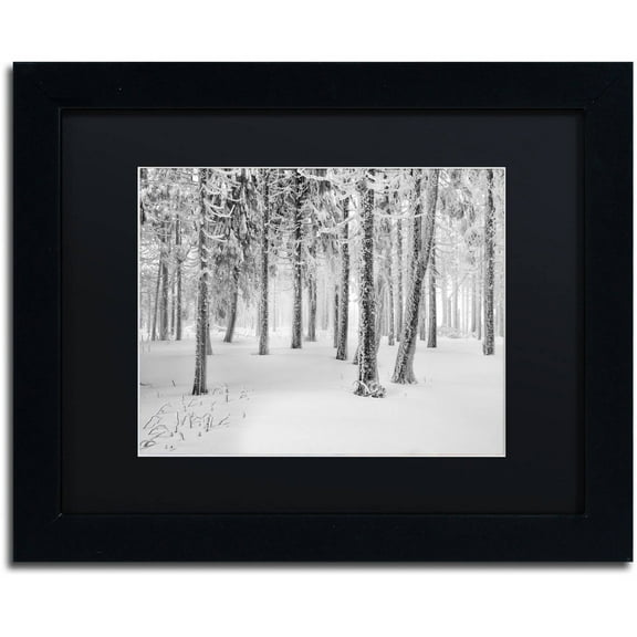 Trademark Fine Art "Frozen World" Canvas Art by Philippe Sainte-Laudy, Black Matte, Black Frame