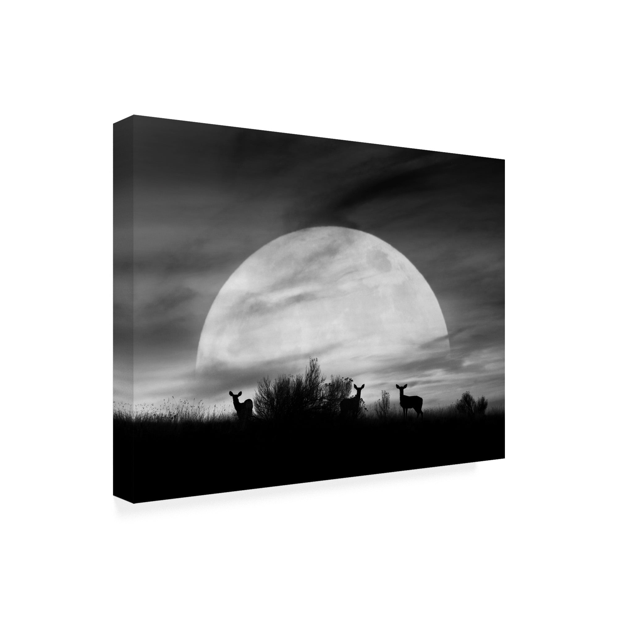 Trademark Fine Art 'Moonlight Silhouette Farmington Hills Michigan' Canvas Art by Monte Nagler