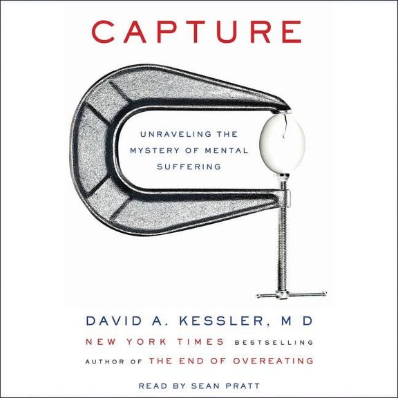 Capture: Unraveling the Mystery of Mental Suffering (Audiobook)