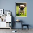 thumbnail image 7 of Diamond Art Kit for Adults, Cute Pug Puppy In Green Grass Diamond Painting for Adults Beginners, 5D DIY Diamond Art Painting Kits, Colorful Diamond Painting Craft for Home Decor 12x16, 7 of 7