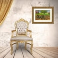 thumbnail image 3 of Goldwitz, Robert 32x23 Gold Ornate Wood Framed with Double Matting Museum Art Print Titled - Barnyard Chairs, 3 of 4