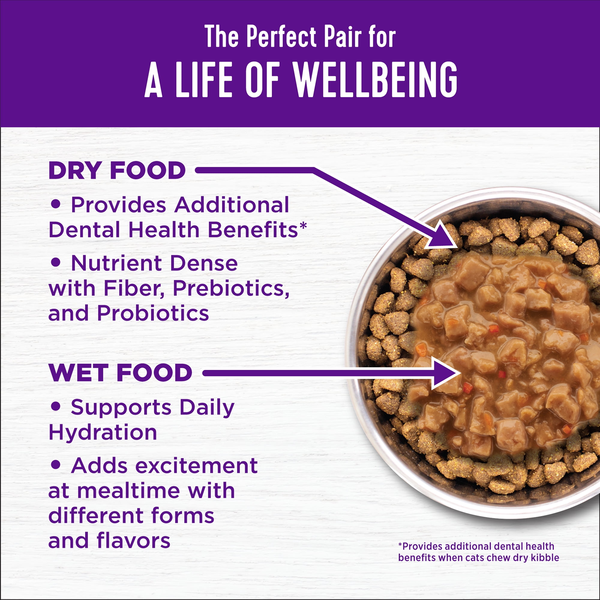 Wellness Complete Health Adult Dry Cat Food, Natural, Wholesome Grains Kibble, Chicken Recipe, 5 lb Bag