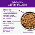 thumbnail image 5 of Wellness Complete Health Dry Cat Food, Chicken & Chicken Meal Recipe, 5lb Bag, 5 of 9