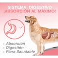 thumbnail image 4 of Aceite de Salmón para Perro Fancy Pets 490ml, 4 of 5
